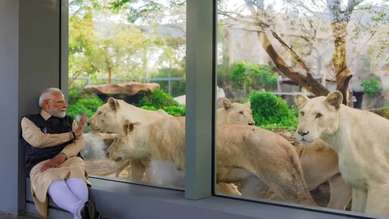 பிரதமர் நரேந்திர மோடி திறந்து வைத்த “வனதா சரணாலயம்: மீட்கப்பட்ட வனவிலங்குகளுக்கான புகலிடம்.”