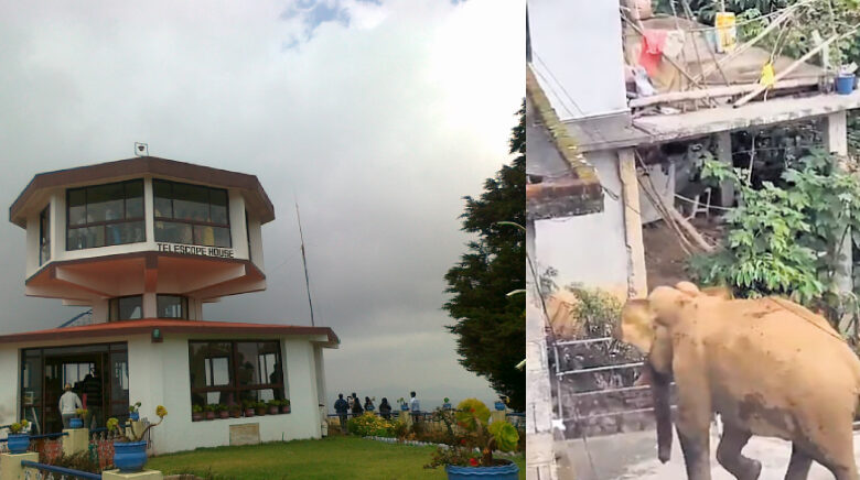 காட்டு யானை உலவுவதால் தொட்டபெட்டா செல்ல சுற்றுலா பயணிகளுக்கு தடை.