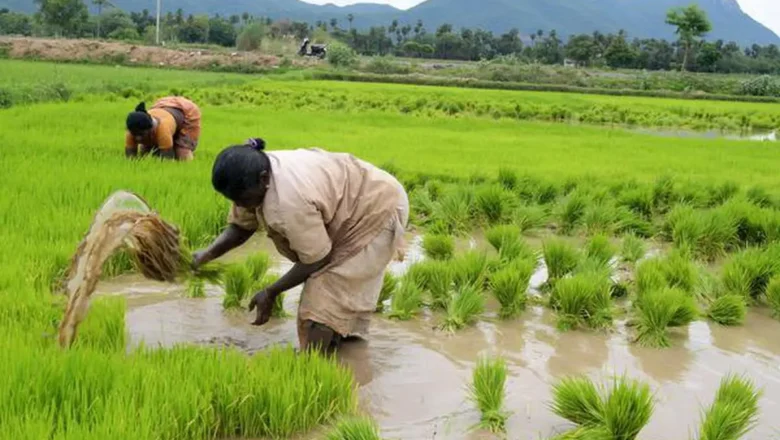 தமிழகத்தின் வேளாண் முன்னேற்றம்: 4 ஆண்டுகளில் சாதனைகள் பட்டியலிட்டது அரசு